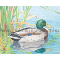  JVD Duck - Tőkés réce állatalakos lőlap