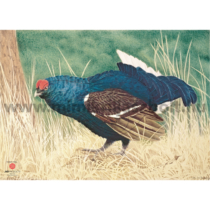 JVD Blue- Grouse - Kék fajd állatalakos lőlap