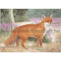  JVD Fox - Róka állatalakos lőlap