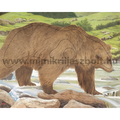  JVD Bear - Medve állatalakos lőlap